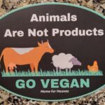 I Think; Therefore I'm Vegan Sticker